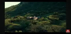 dinosaur