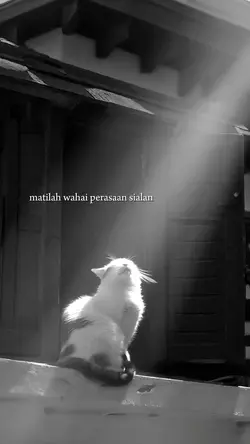 hitam putih 