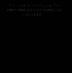 no hablo del pájaro 