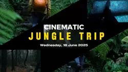 cinematic jungle