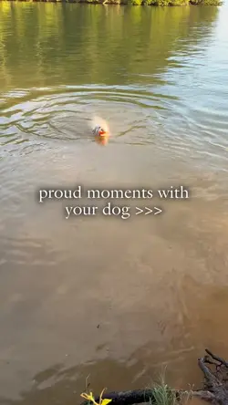 Proud moments