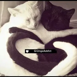 Ryan 🐈‍⬛ x Alex 🕷️