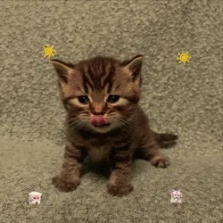 gorge&richard
