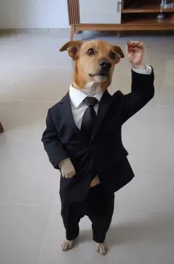 passinho do jamal