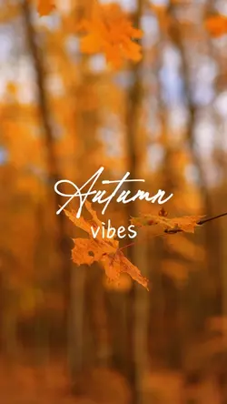 Autumn Vibes