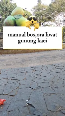 manual buosss