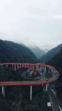 Drone potrait