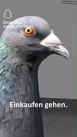 Einkaufen gehen 