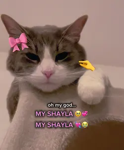 MY SHAYLA 🥹💞