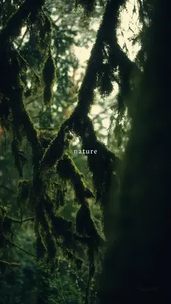 nature