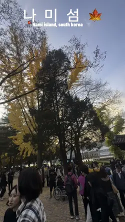 나미섬