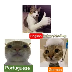 Languages