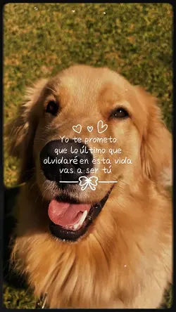 Te prometo