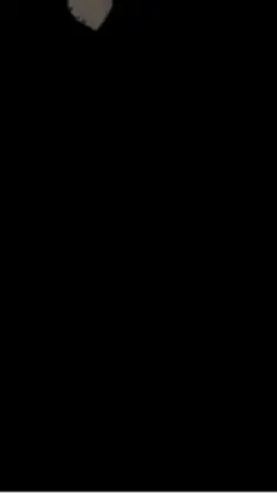 Kiểu bong bóng