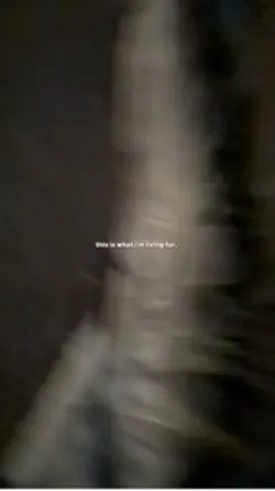 Wald time🥹💞