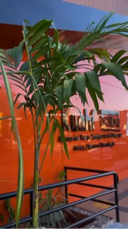 Visita ao museu