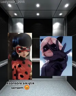 Asansör Macerası