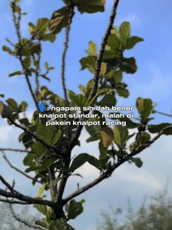 Dah Bener STD.. 