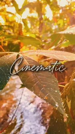 cinematic 5 clips 