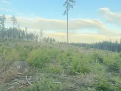 Mhm