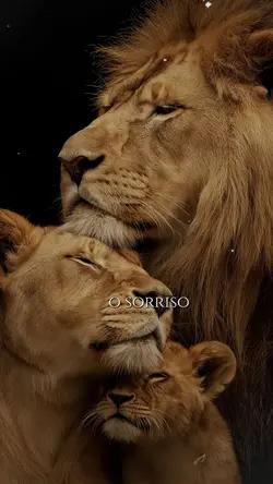 reflexão