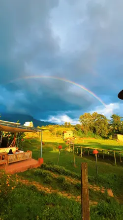 Rainbow🌈