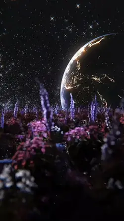 Beautiful Place 