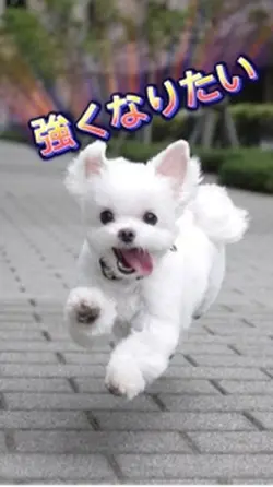 強くなりたいんだ