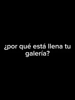 mi galería