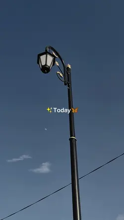 Mini Vlog 