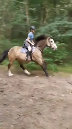 love hacking 🙈‼️