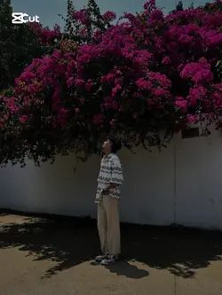 ওহে আমার মায়াবতী.!