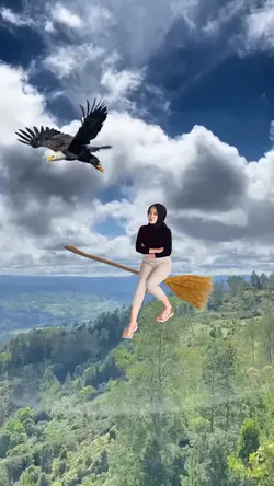Sapu Harry Potter