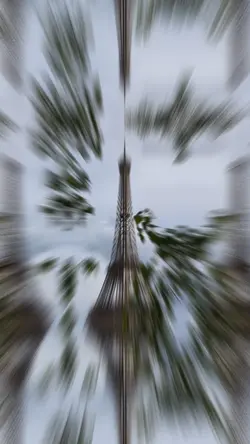 filter effects 