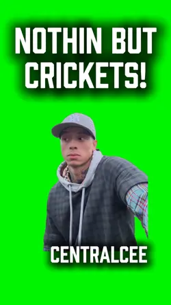 Nothin but crickets
