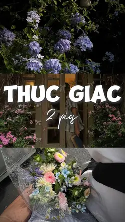 Thức Giấc