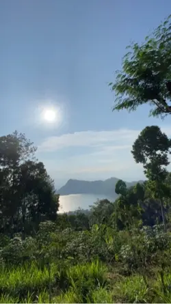 Suasana alam