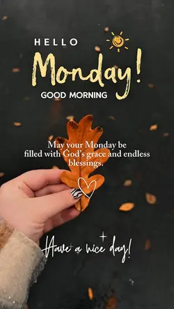 Hello Monday 🤍