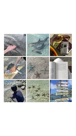 9 pics