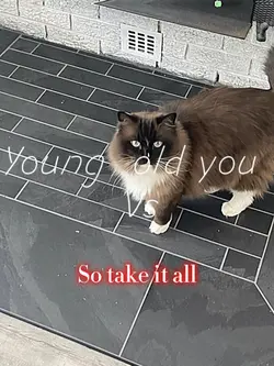 Young vs old you