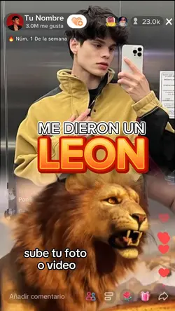 León tiktok