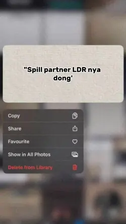 Spill partner LDR