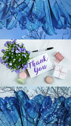 Thank you 💙