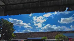hd+ jernih
