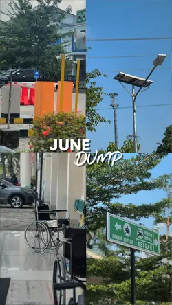 JUNE DUMP