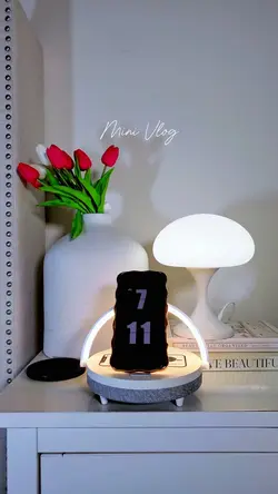 Mini Vlog