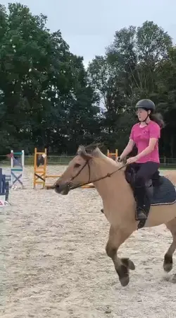 saut équitation 