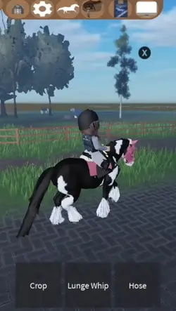 this is my new ponyy
