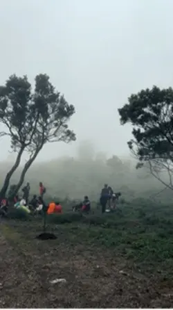 Gunung dan kabut