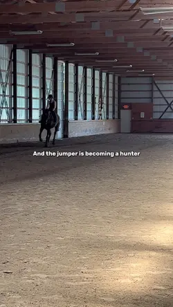 Jumpers to hunters